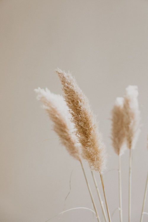 Dream-Brand-Minimalistic-Matter-aanbod-2